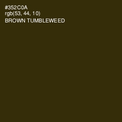 #352C0A - Brown Tumbleweed Color Image